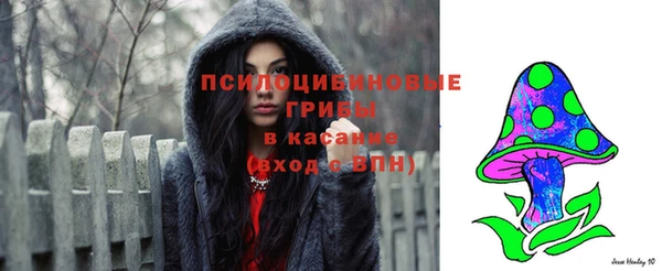 молекула духа Лиски