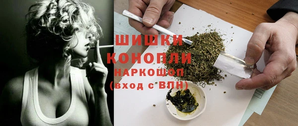 ПСИЛОЦИБИНОВЫЕ ГРИБЫ Ельня